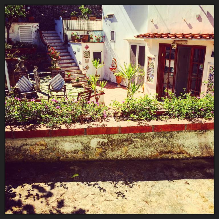 אנה קאפרי Mediterraneo Bed & Breakfast מראה חיצוני תמונה