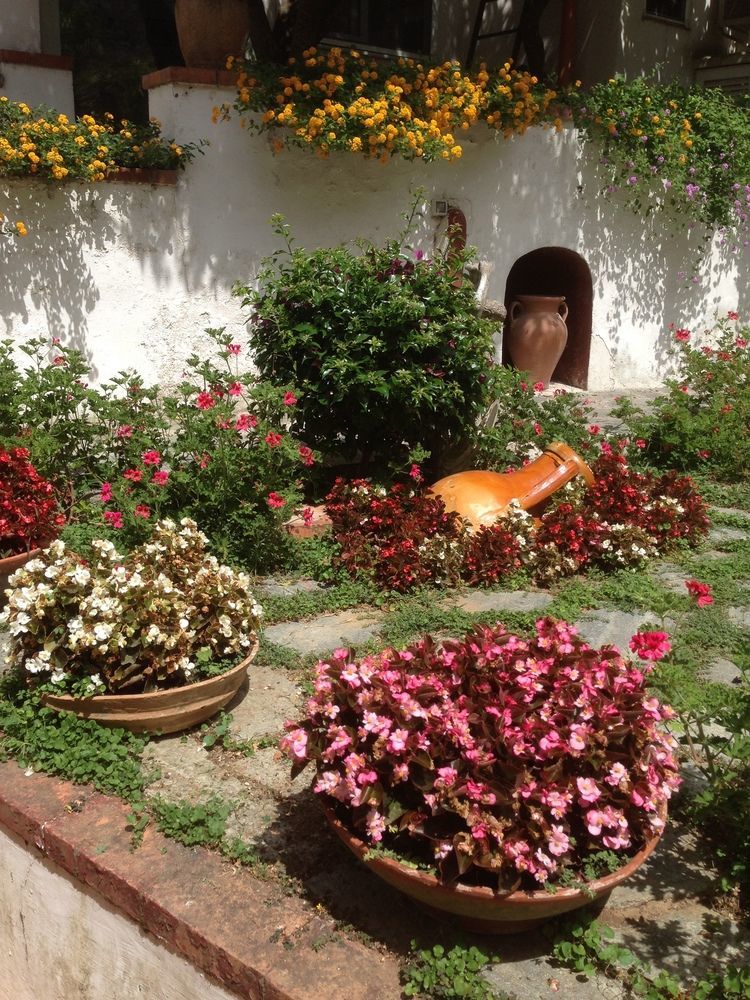 אנה קאפרי Mediterraneo Bed & Breakfast מראה חיצוני תמונה