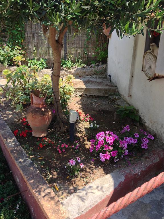 אנה קאפרי Mediterraneo Bed & Breakfast מראה חיצוני תמונה