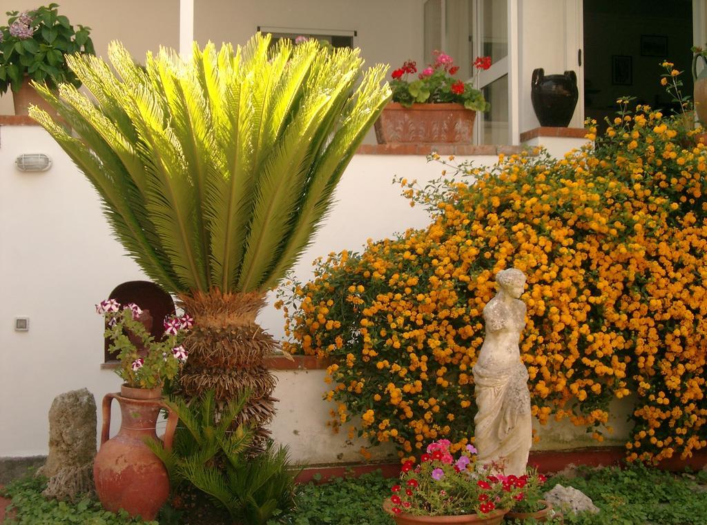 אנה קאפרי Mediterraneo Bed & Breakfast מראה חיצוני תמונה