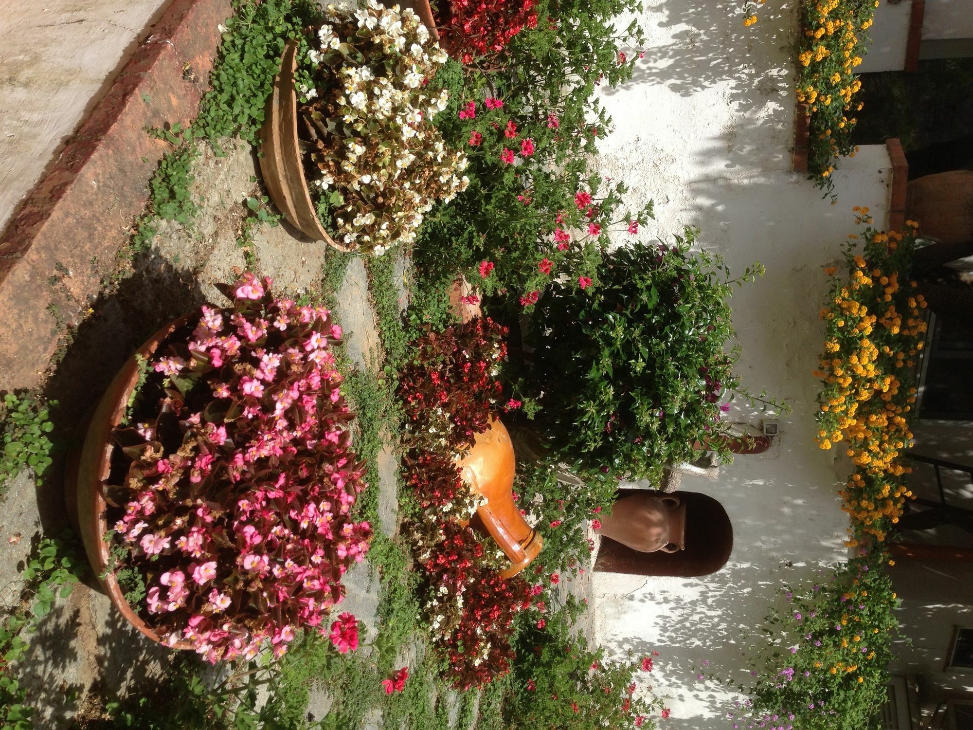 אנה קאפרי Mediterraneo Bed & Breakfast מראה חיצוני תמונה