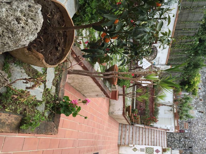 אנה קאפרי Mediterraneo Bed & Breakfast מראה חיצוני תמונה