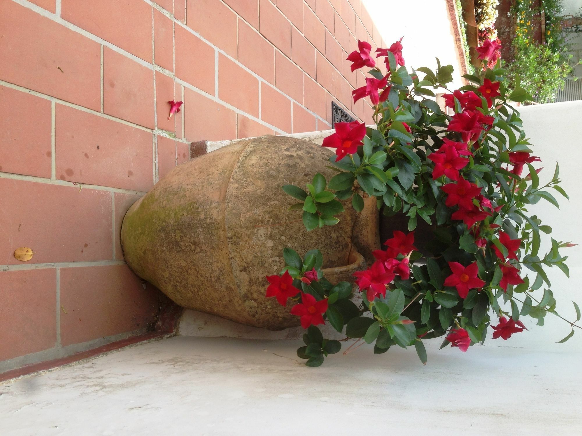 אנה קאפרי Mediterraneo Bed & Breakfast מראה חיצוני תמונה